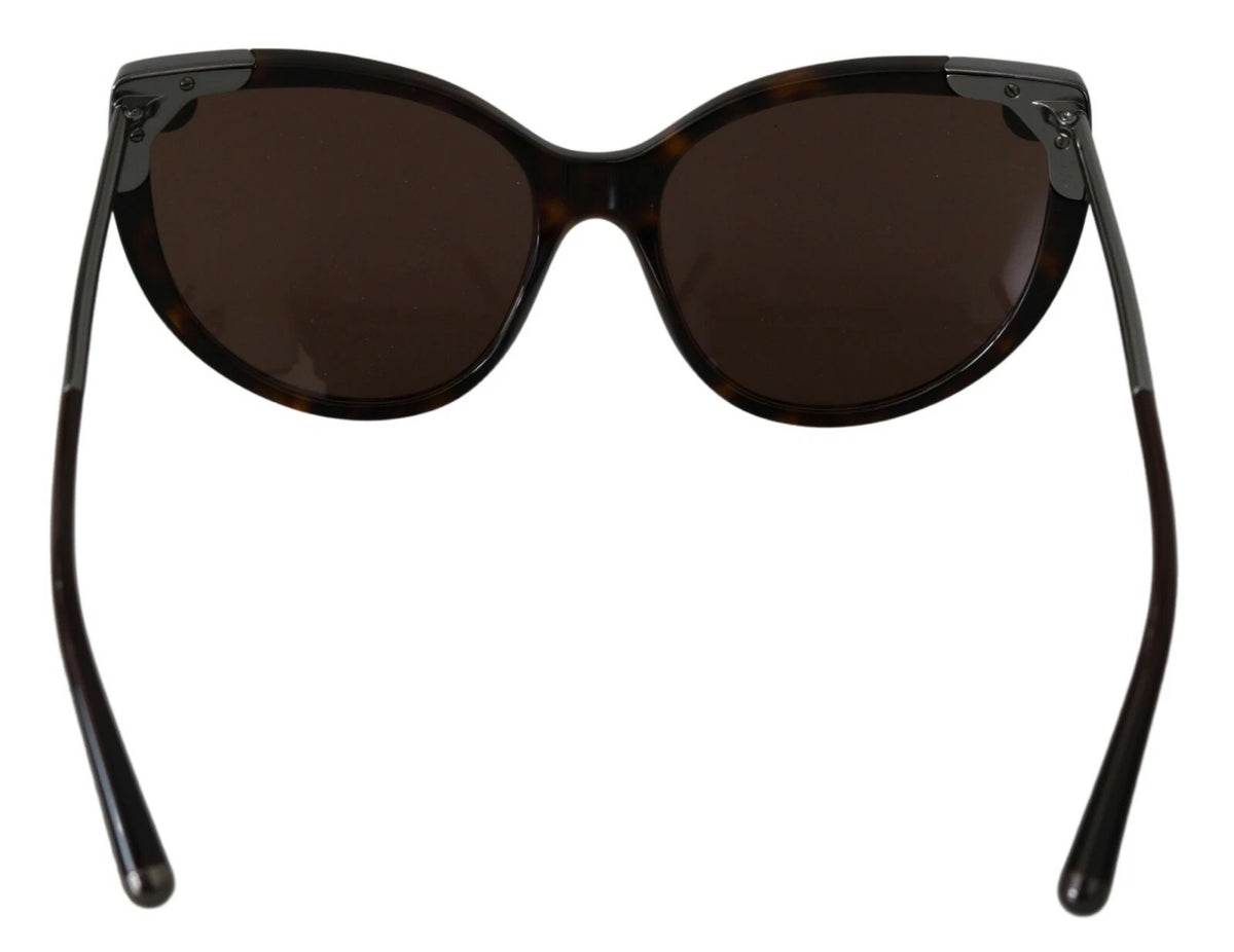 Dolce & Gabbana DG4337 Dark Havana Cat Eye Women Eyewear Sunglasses